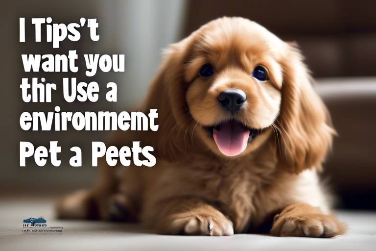 Tips for Creating a Safe Environment for Pets
