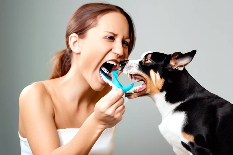 The Best Ways to Brush Your Pet’s Teeth