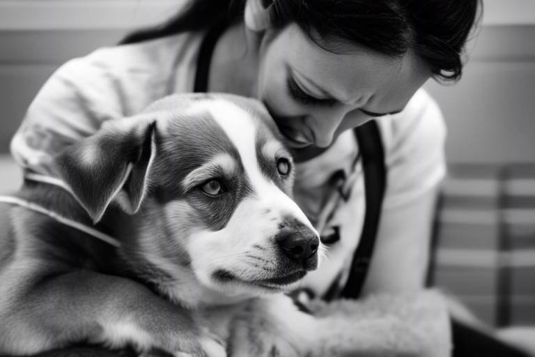 The Emotional Journey of Adopting a Rescue Dog