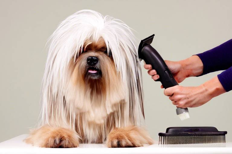How to Help Your Dog With Grooming-Related Stress