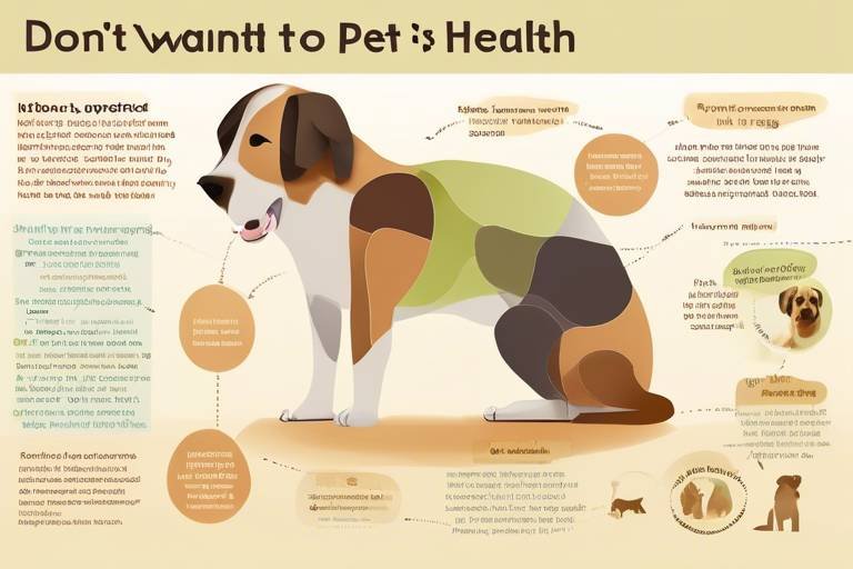 Holistic Approaches to Pet Health