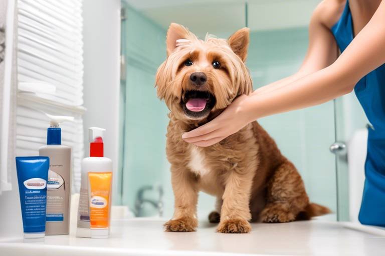 The Role of Grooming in Managing Pet Odor