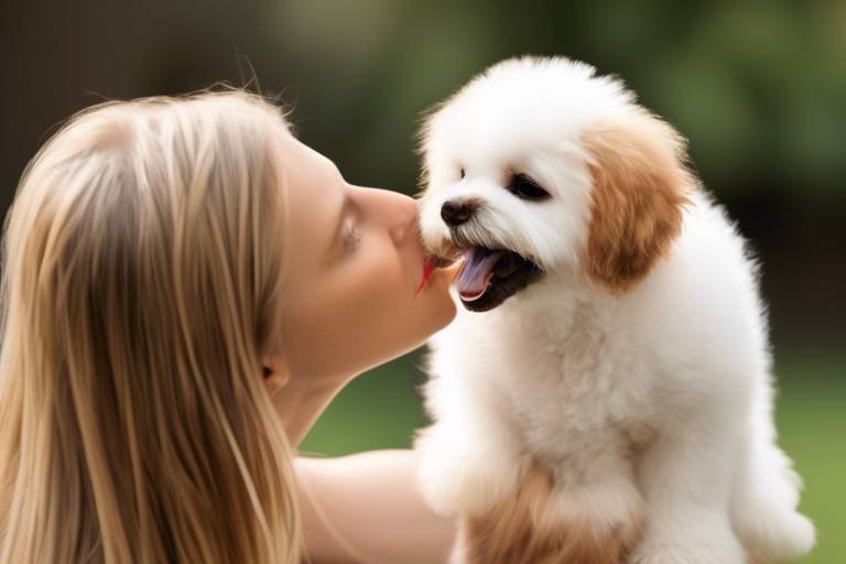 The Role of Grooming in Pet Bonding
